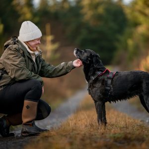 Virtual Consultation